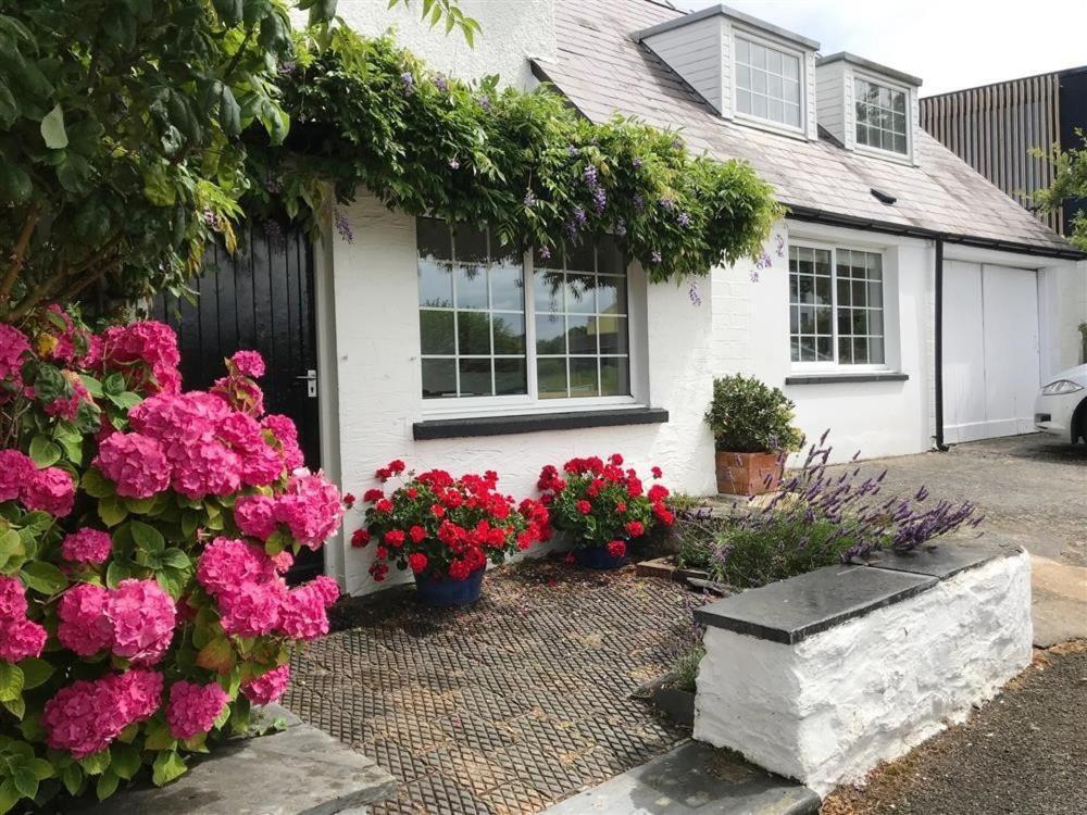 Beach Retreat Aberporth Eksteriør bilde